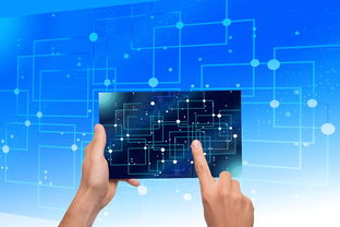 开云电竞-中国篮球教练员战术执行力提升路径及方法研究，如何提高篮球教练员水平